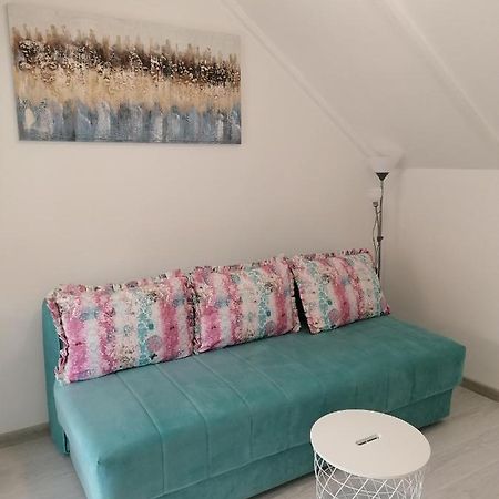 Apartman Andrijana 1 Sokobanja Extérieur photo